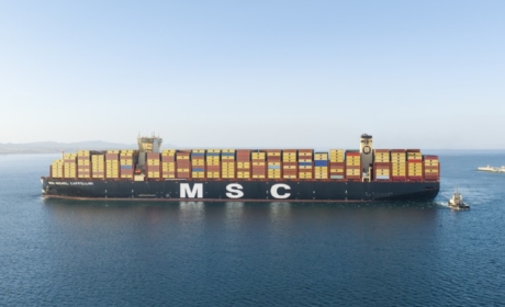 Článek o rejdaři Mediterranean Shipping Company